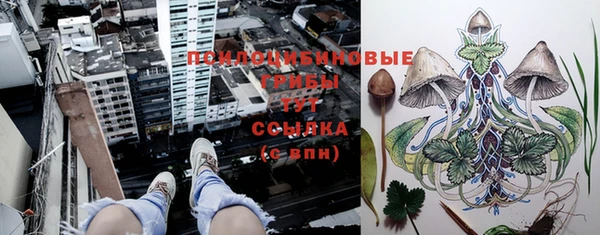 эйфоретик Алзамай