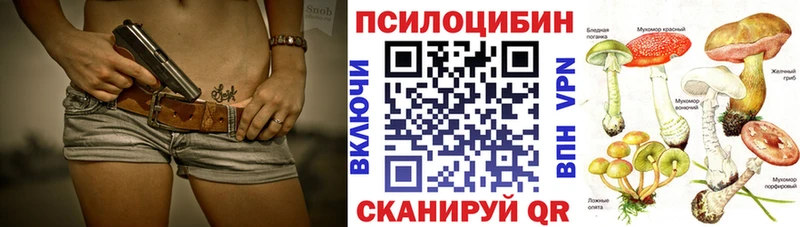 магазин продажи   Пустошка  Галлюциногенные грибы MAGIC MUSHROOMS 