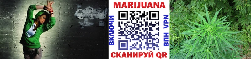 Конопля гибрид Пустошка